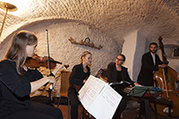 Saitenmusik Neualbenreuth